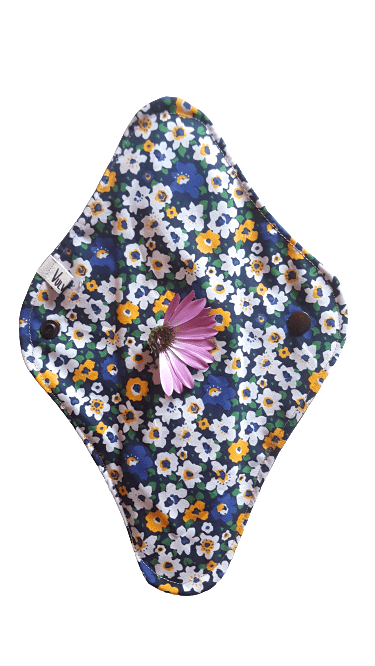 Compresa de nit 1 Compresa de nit