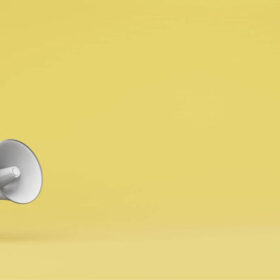 Fotos article web 6 1