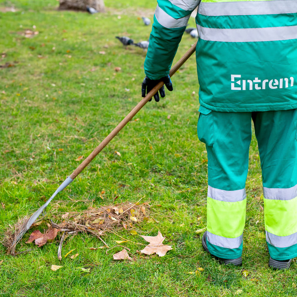 Serveis de Jardineria per Empreses 1 Serveis de Jardineria per Empreses