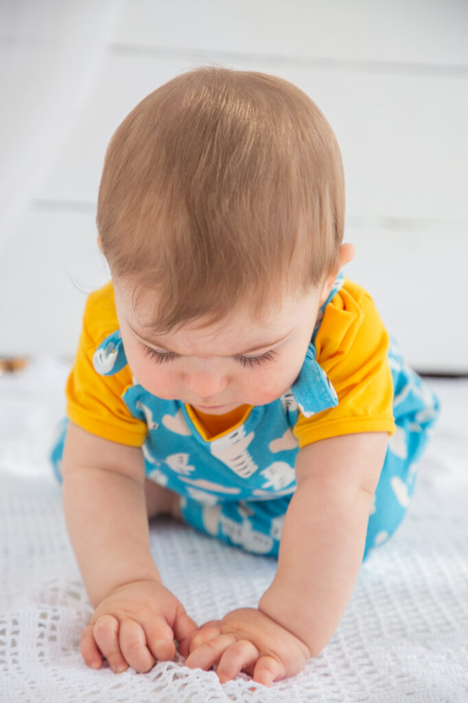 Peto creuat Curt Ocells 2 Peto creuat Curt Ocells - Imatge 2