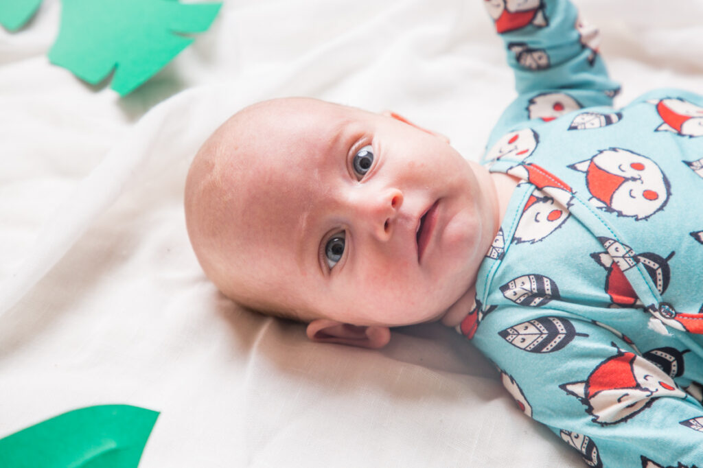 Primera Posta Guineus 2 Primera Posta Guineus - Imatge 2