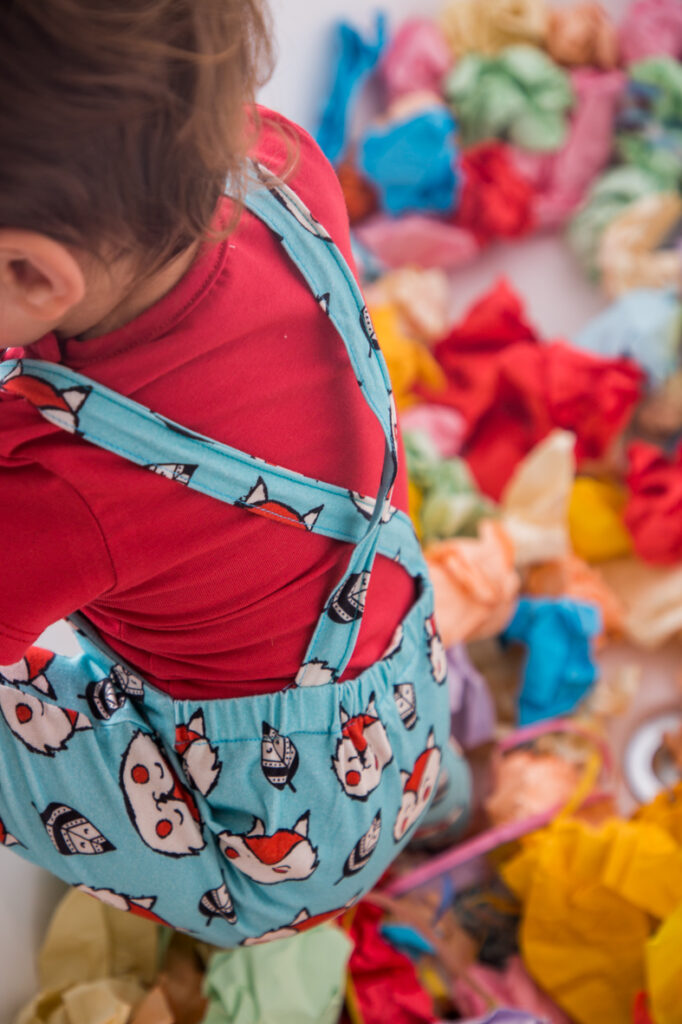 Peto creuat Guineus 2 Peto creuat Guineus - Imatge 2