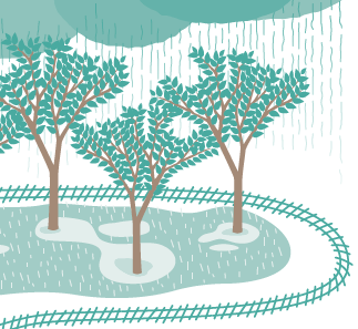 TRANSCRIPCIÓ DE CONTINGUTS AUDIOVISUALS 1 TRANSCRIPCIÓ DE CONTINGUTS AUDIOVISUALS