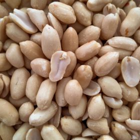 Cacachuets de la botiga