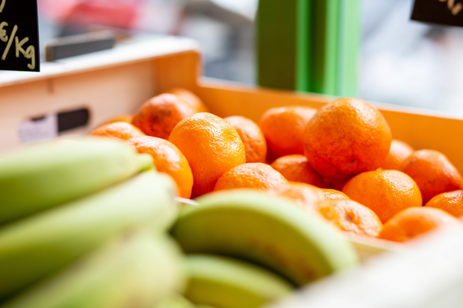 Cataleg ALIMENTACIO scaled