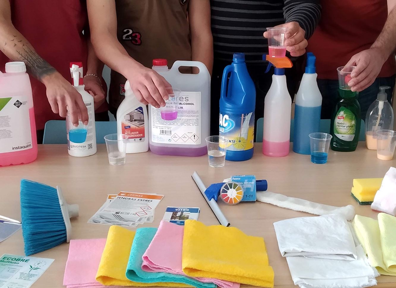 Formacions en l'àmbit de la neteja 1 Formacions en l'àmbit de la neteja