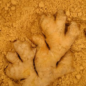 Gingebre de la botiga