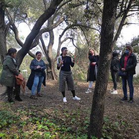 BENVINGUDES 49 IMATGE PRINCIPAL ESTUDIMOBLE