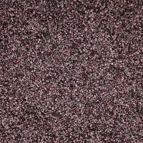 Llavors de la botiga