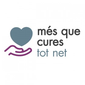 Serveis professionals de neteja