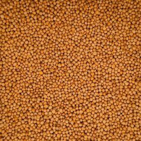 Mostassa de la botiga