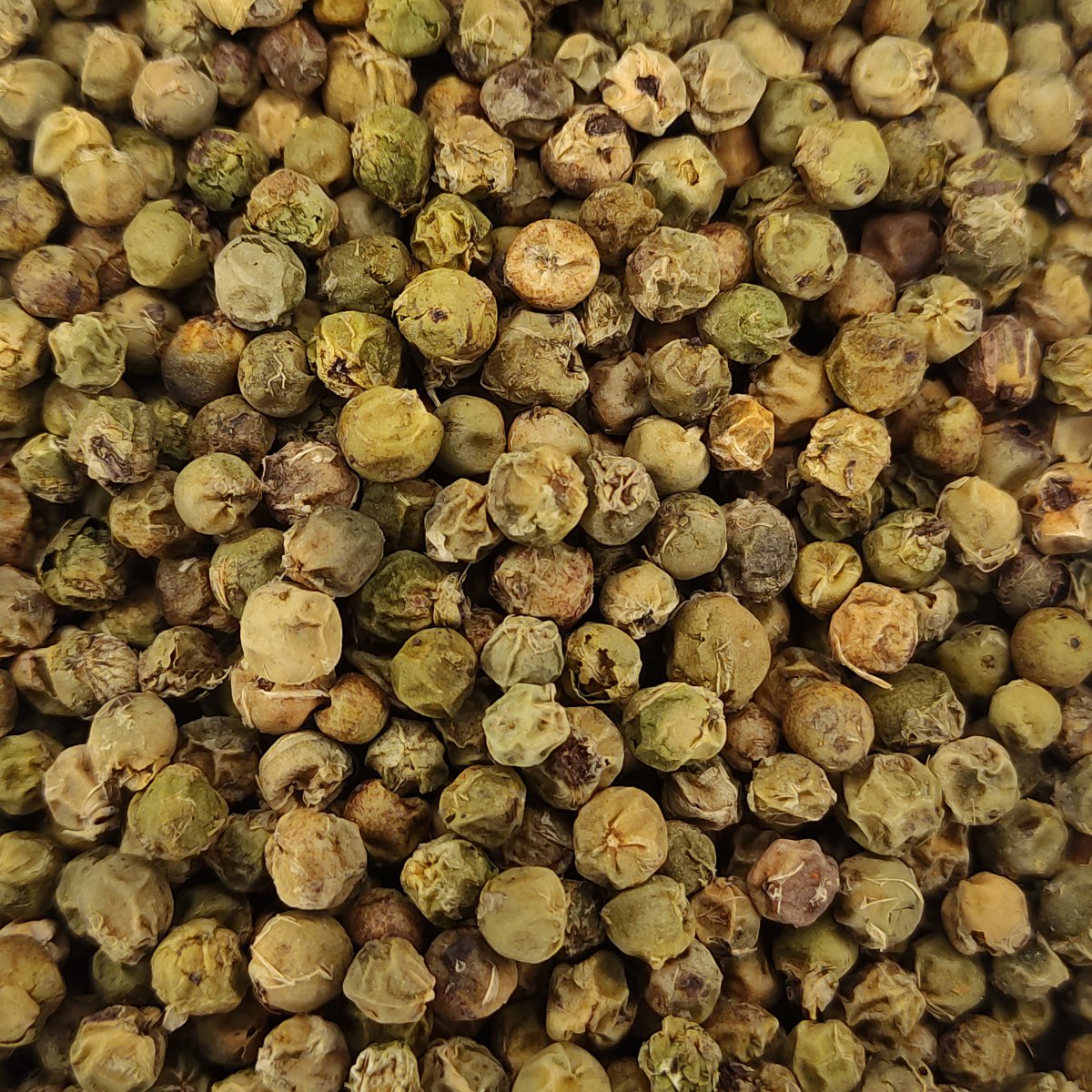 PEBRE VERD Pimienta 1 Pebre de la botiga