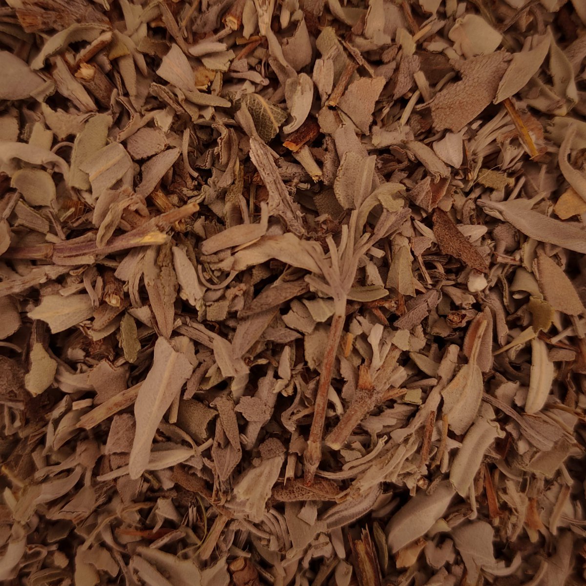 SALVIA BLANCA FULLES 1 Salvia de la botiga