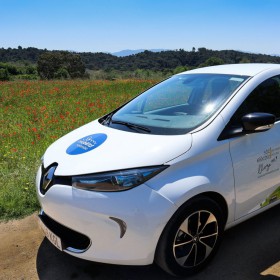 Zoe Roselles 2 1 scaled