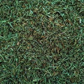 Sajolida de la botiga