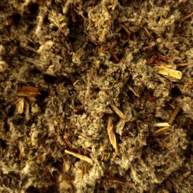 Carfoxera de la botiga