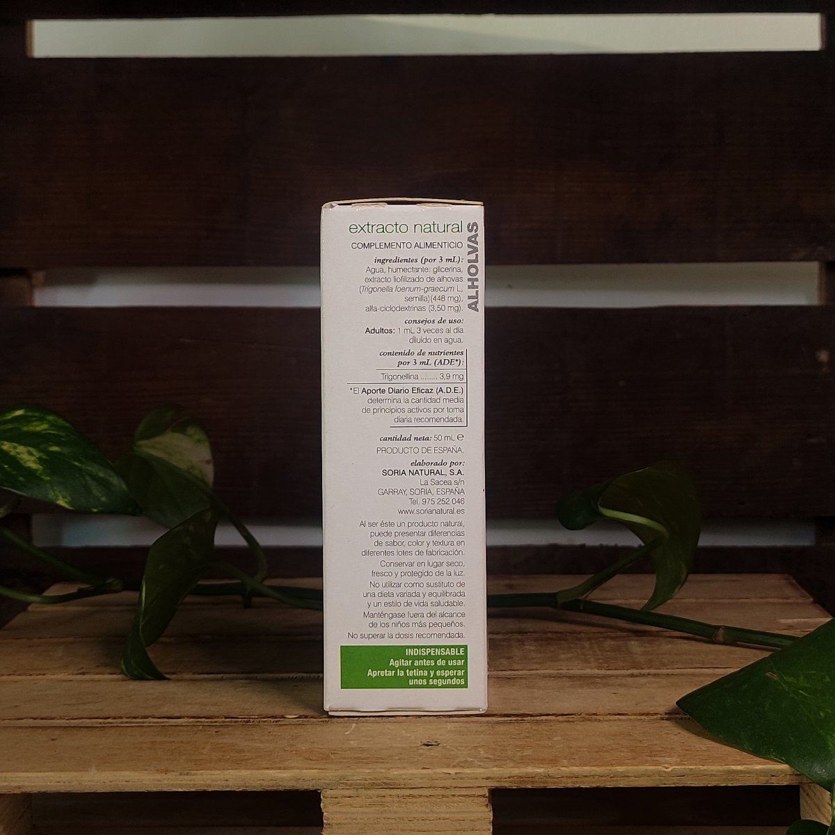 ALHOLVAS 2 ALHOLVAS - Imatge 2