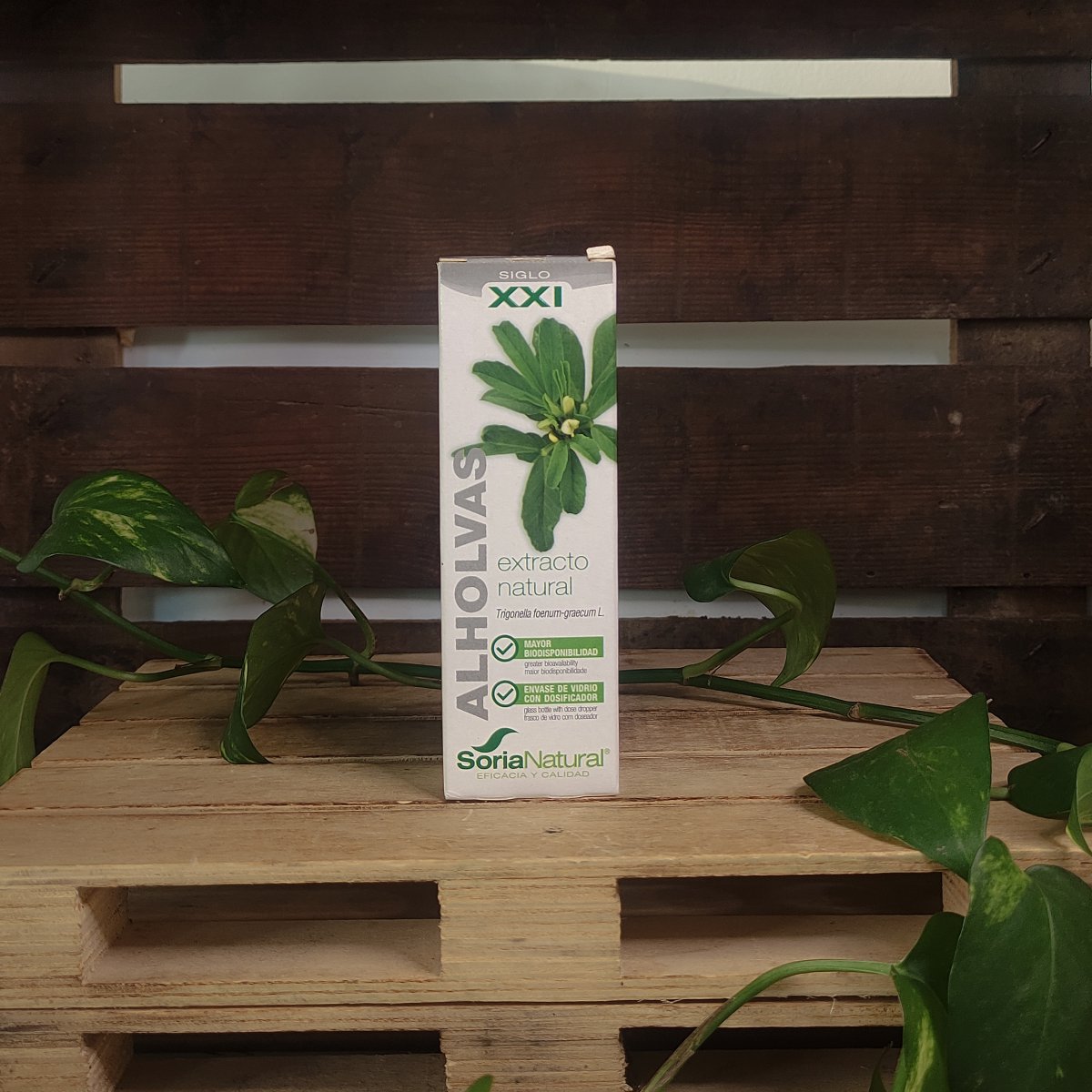 ALHOLVAS 1 Producte de la botiga