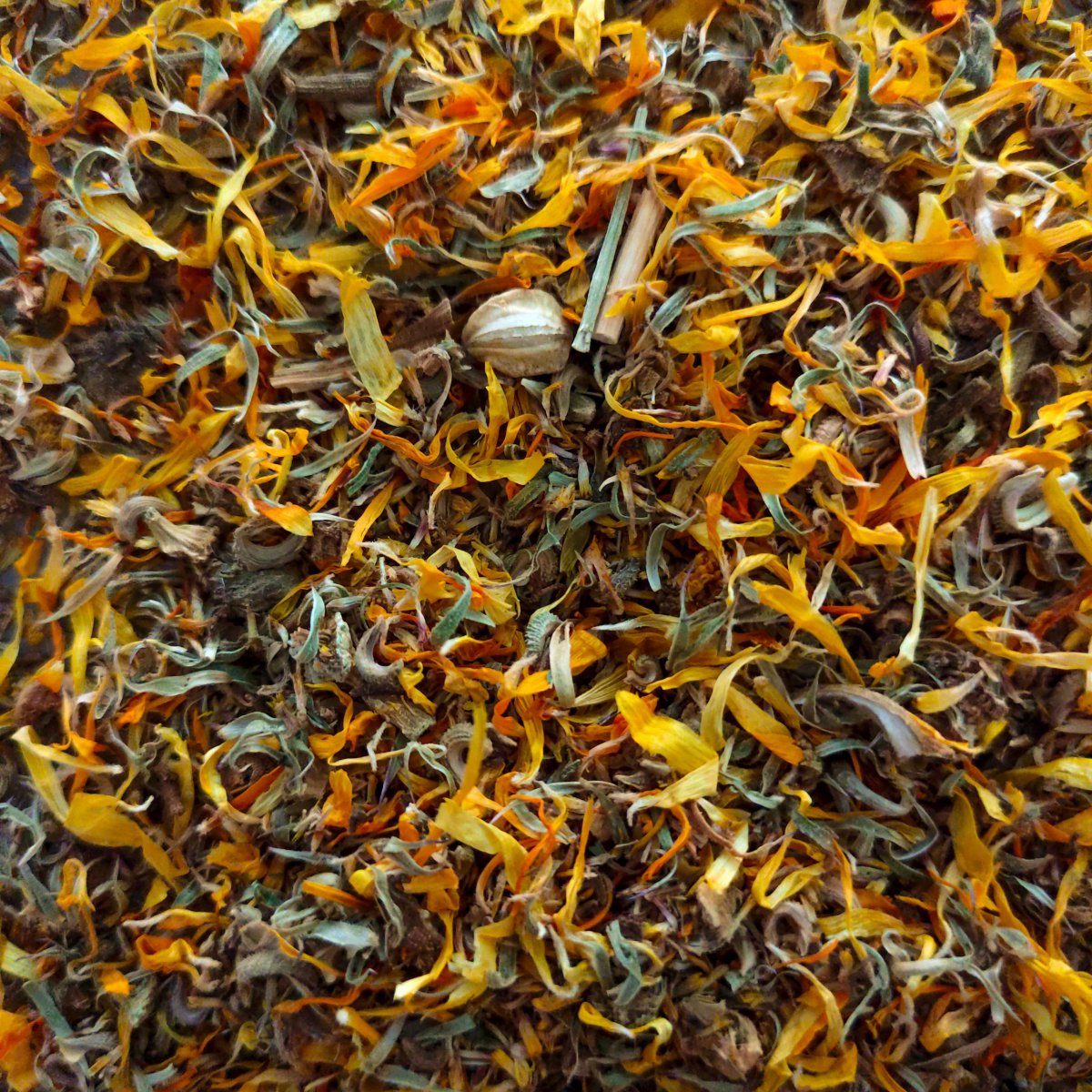 CALÈNDULA 1 Calèndula de la botiga