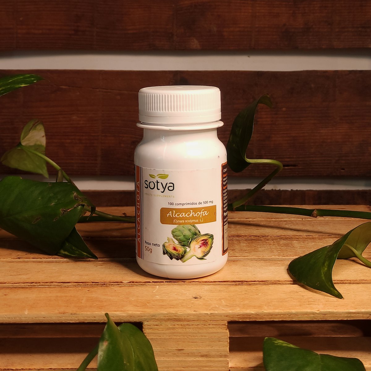 CARXOFA COMPRIMITS 1 Producte de la botiga