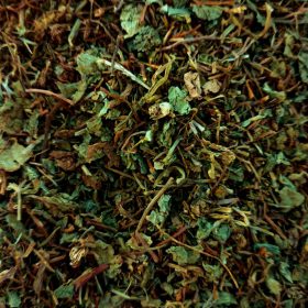 Centella de la botiga