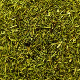 Cua de Cavall de la botiga