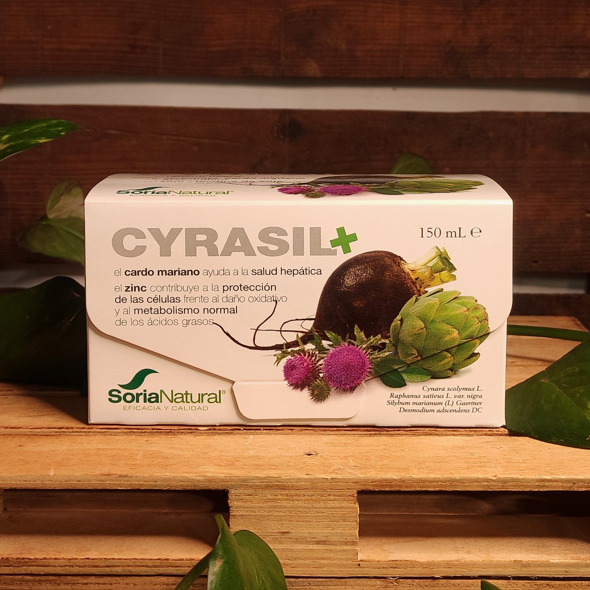 CYRASIL + 1 Producte de la botiga
