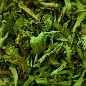 Estevia de la botiga