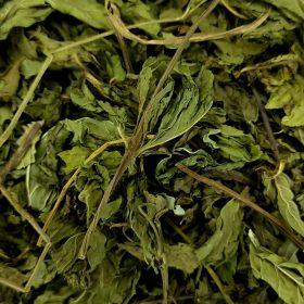 Herbabona de la botiga