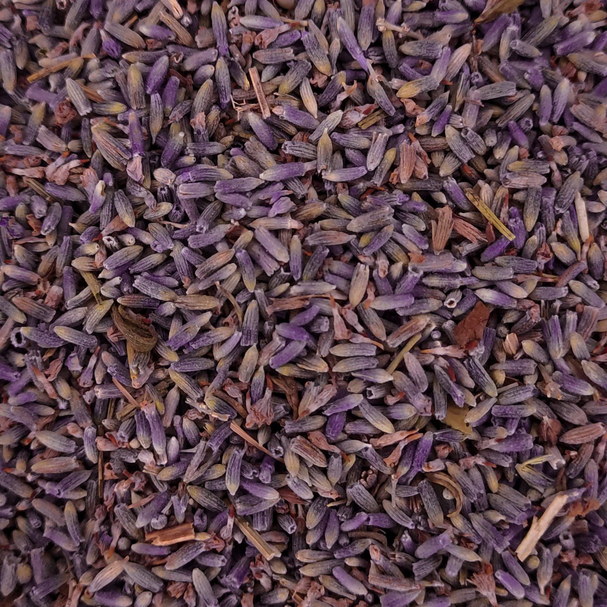 LAVANDA ESPLIEGO 1 Lavanda de la botiga