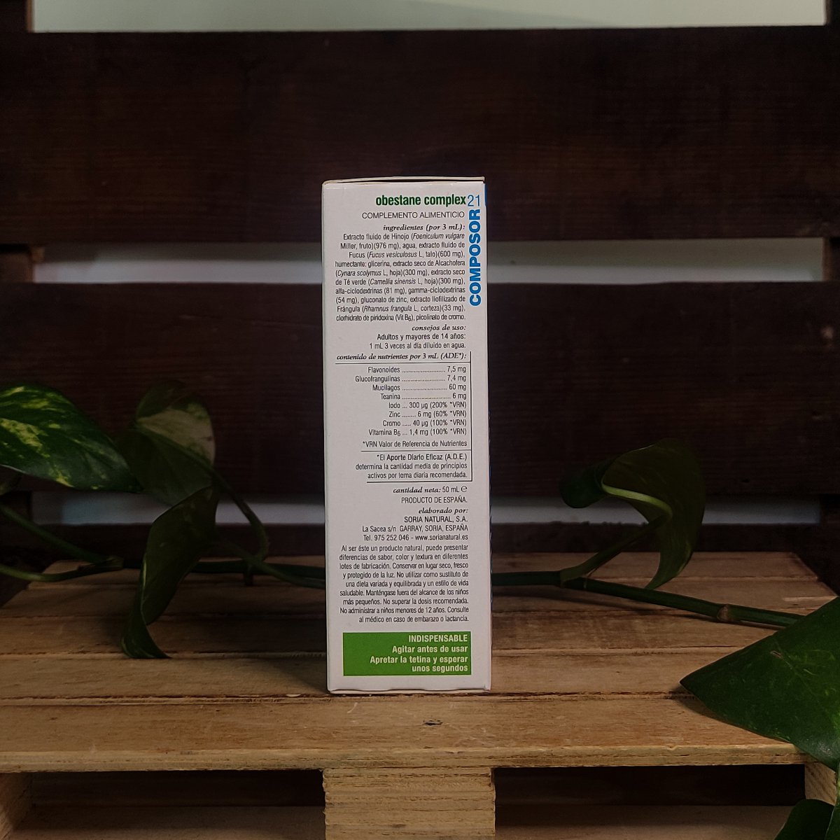 OBESTANE 2 OBESTANE - Imatge 2