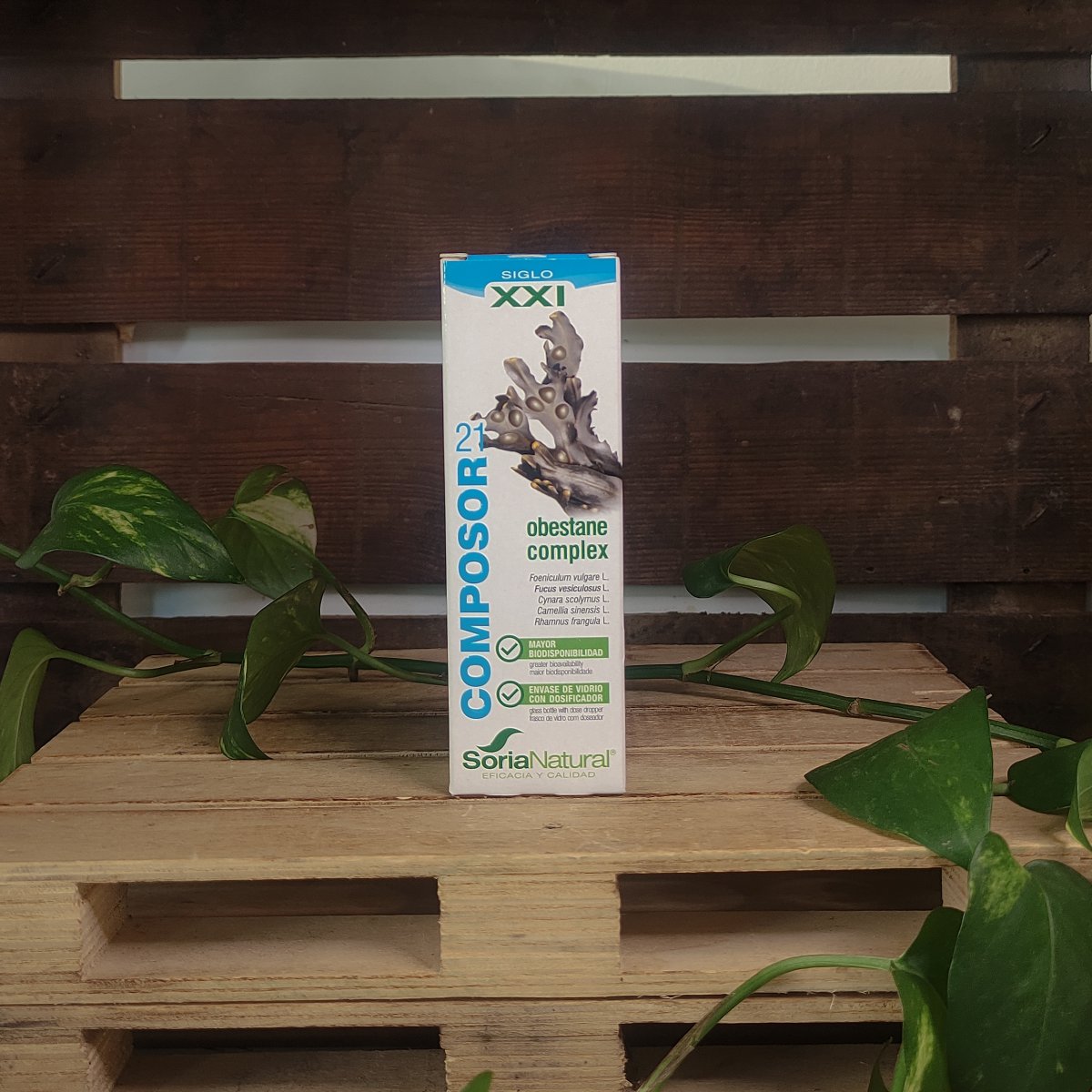 OBESTANE 1 Producte de la botiga