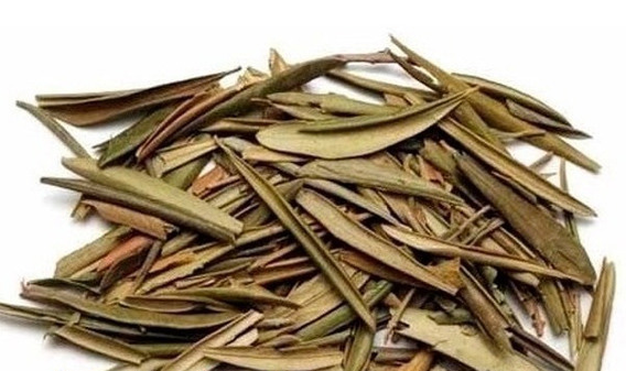 OLIVERA FULLES TRITURADES (Olivo) 1 OLIVERA FULLES TRITURADES (Olivo)