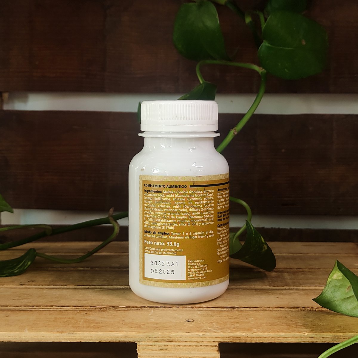 REISHI + SHIITAKE + MAITAKE + VITAMINA C 2 REISHI + SHIITAKE + MAITAKE + VITAMINA C - Imatge 2