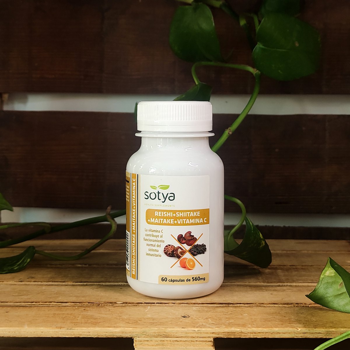 REISHI + SHIITAKE + MAITAKE + VITAMINA C 1 Producte de la botiga