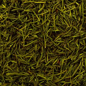 Romaní de la botiga