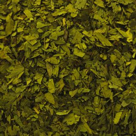 Fulla de Sen de la botiga