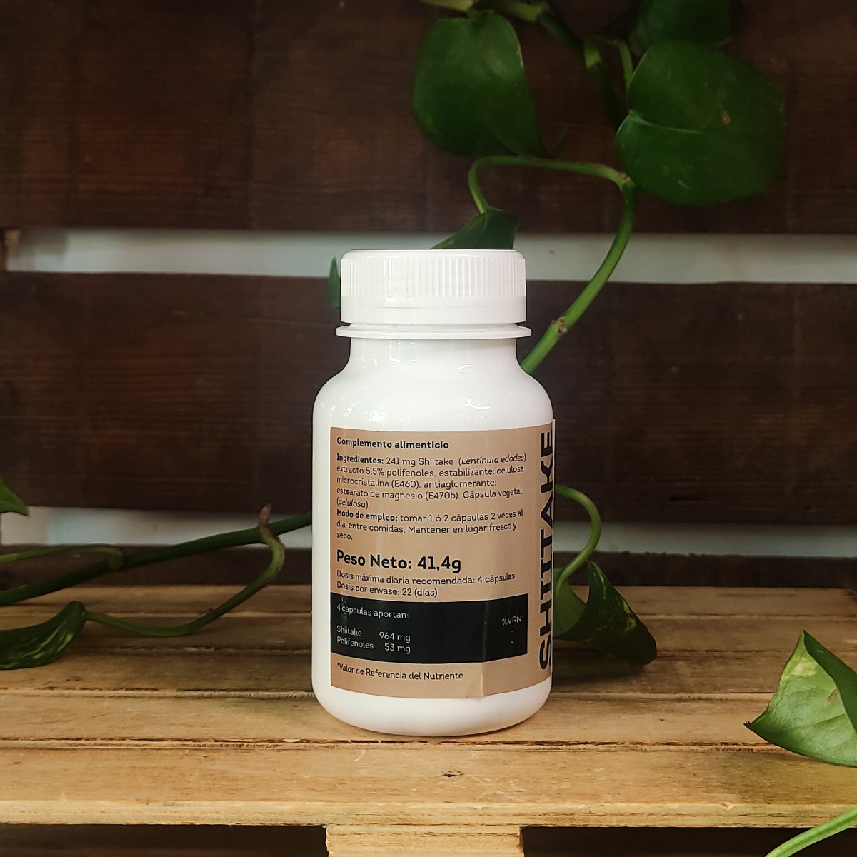 SHIITAKE 2 SHIITAKE - Imatge 2